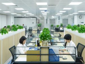 ý tưởng văn phòng xanh